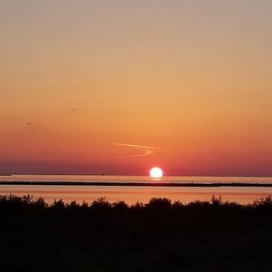 Meet your Posher, Allie